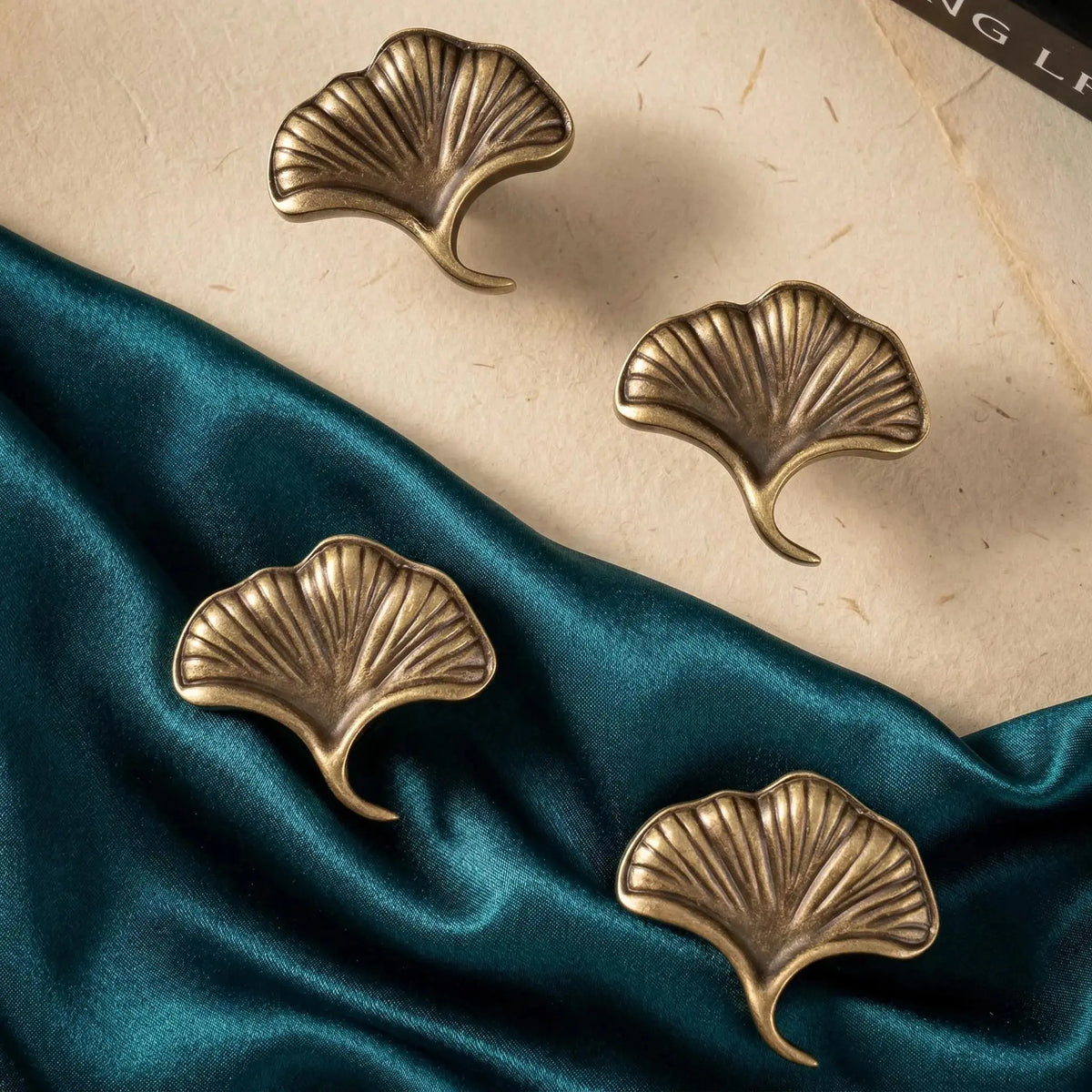 Ginkgo — Bouton de meuble feuille - Laiton massif antique MaisonBrass